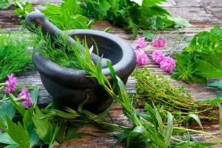 Лікування сухого кашлю народними засобами (народними) Лікування сухого кашлю народними засобами
