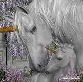 Матка ззаду (матка) матка ззаду