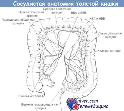 Tehnica rezectiei a colonului sigmoid