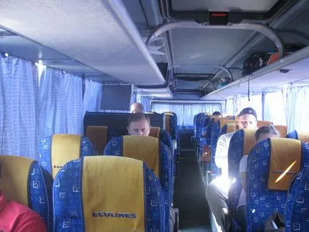 International buszok Ecoline (ECOLINES)