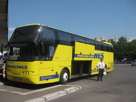 International buszok Ecoline (ECOLINES)