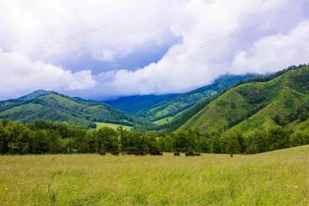 În primele Altai - lacuri sarate, lacuri colorate, Belokurikha, muzee, Muntii Altai, Chui