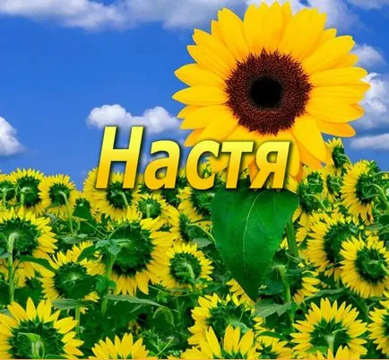 Настя, Настя, Анастасия, снимки с имена