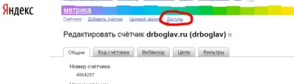 Налаштовуємо доступ до лічильника Яндекс (Яндекс) Налаштовуємо доступ до лічильника яндекс