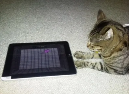 Трохи позитиву ipad-додаток для кішок (ipad-додаток) Трохи позитиву ipad-додаток для кішок