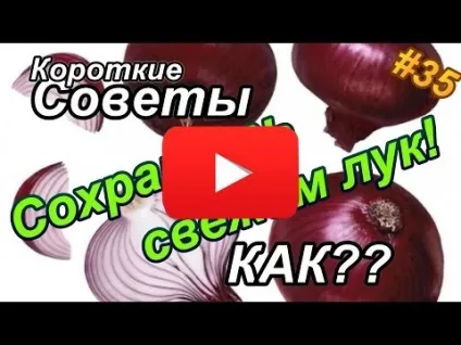Народні секрети господарського мила, корисні поради (господарського) Народні секрети господарського мила, корисні поради