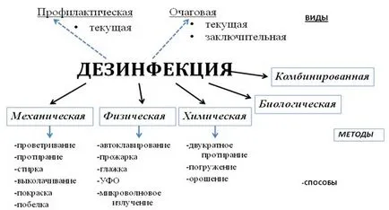Ноу Інти, лекція, профілактика ісмп
