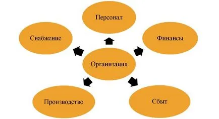 Cunoaște Intuit, organizarea de curs ca obiect de gestionare