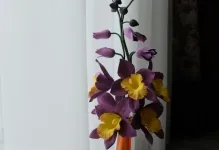 Orchid foamirana за това как да се направи майсторски клас, снимки и шаблони с ръцете си, модел и видео микрона