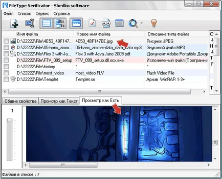 Se determină tipul de fișier cu un Verificator filetype