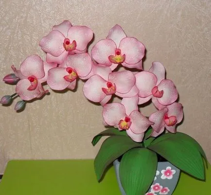 Orchid foamirana за това как да се направи майсторски клас, снимки и шаблони с ръцете си, модел и видео микрона