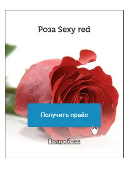 Deschideți floare magazin online