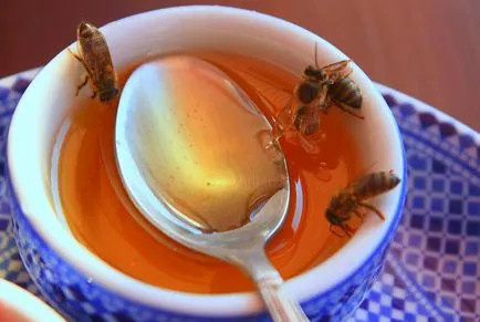 Пчели-убийци като неуспешен експеримент са довели до смъртта на стотици хора