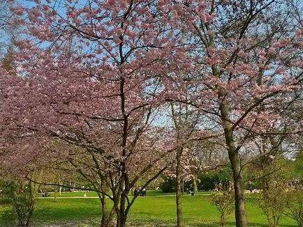 Paris, în primăvară - și evenimente meteorologice din Paris, în martie, aprilie și mai