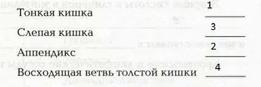 Травлення в кишечнику