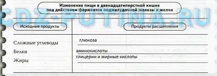Травлення в кишечнику