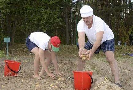 De ce Kolyu Lukașenko dintr-o dată separat de tatăl fostei Uniuni Sovietice, Belarus