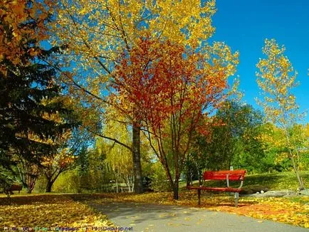 De ce, în câțiva ani, defoliere poate fi văzut în mijlocul verii