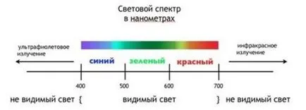 Светлини за цветя