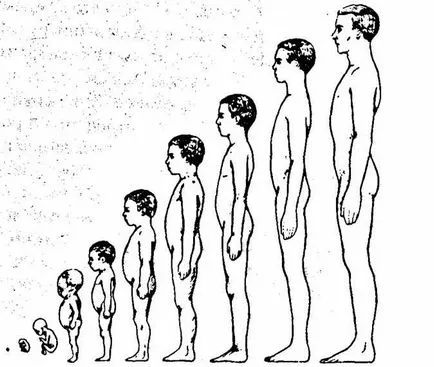 Пубертетът в знаци момчета, стъпала и вариации (със снимки)
