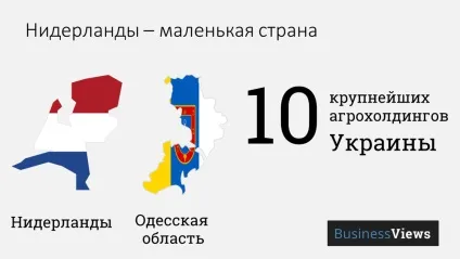 Нідерланди - продуктовий кошик світу 6 нереальних фактів про сільське господарство країни тюльпанів (сільському) Нідерланди - продуктовий кошик світу 6 нереальних фактів про сільське господарство країни тюльпанів