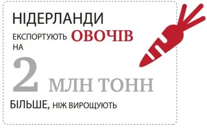 Нідерланди - продуктовий кошик світу 6 нереальних фактів про сільське господарство країни тюльпанів (країни) Нідерланди - продуктовий кошик світу 6 нереальних фактів про сільське господарство країни тюльпанів