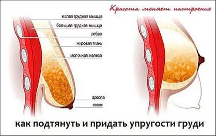 Последици след обгаряне на шийката на матката разпределение ерозия, която не може да се направи, препоръките