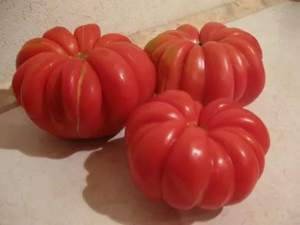 tomatelor-maturare soiuri cu fotografii și descriere