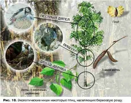 природните екосистеми