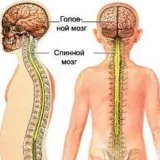 Az idegrendszeri tünetek és az okok - szike - Orvosi