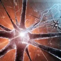 Az idegrendszeri tünetek és az okok - szike - Orvosi