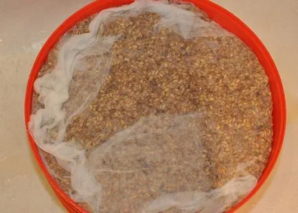 Rețeta și de gătit video de must de grâu pentru vodca modul de a face din porumb ca livreze fără