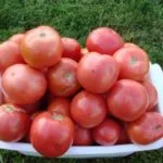 tomate roz soiuri mai bune și caracteristici ale acestora în creștere