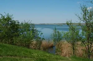 Horgászat a Don menti Rosztovban Region