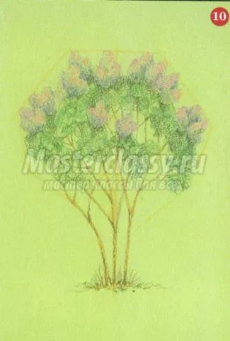 Figura pastel liliac Bush