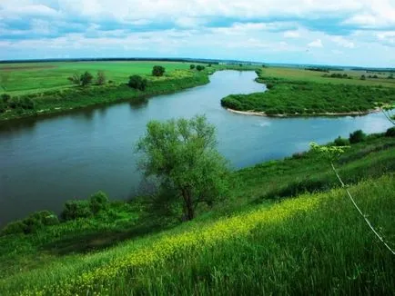 Риболов на Дон в Ростов област