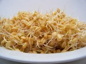 Самогон з пшениці