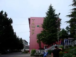 Санаториум в Сочи с лечението на стомашно-чревния тракт