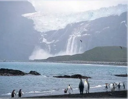 Cea mai caldă lună în Antarctica