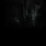 Новий хижак дата виходу фільму, новини, 2018 (виходу) Новий хижак дата виходу фільму, новини, 2018
