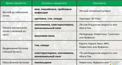 Обробка садових дерев навесні