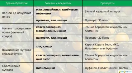 Обробка садових дерев навесні