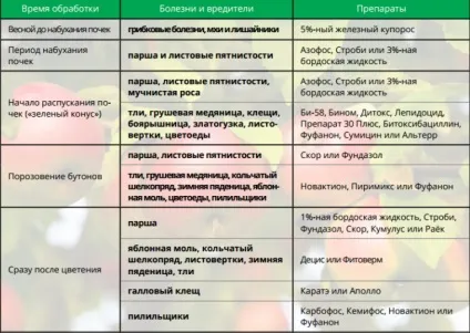 Обробка садових дерев навесні