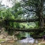 Shavlinsky езеро в Алтай в България