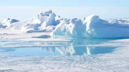 Az Északi-sark a legészakibb pontja a bolygó