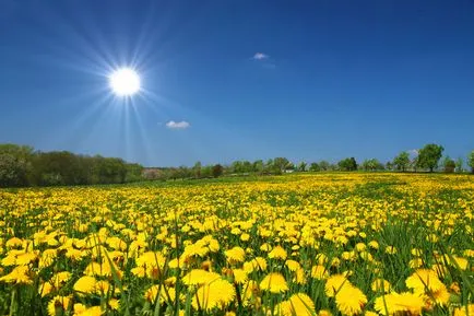 Kapcsolódó szavak Weather időjárás német fordítással