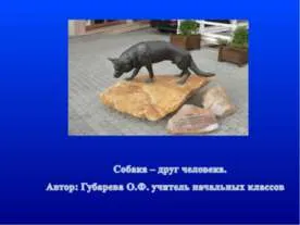 Собака дінго - презентація до уроку географії (Собака друг людини) Собака дінго - презентація до уроку географії
