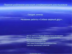 Собака дінго - презентація до уроку географії (дінго) Собака дінго - презентація до уроку географії