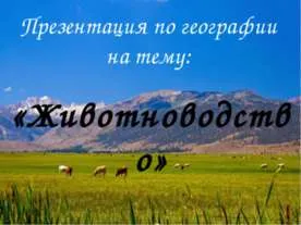 Собака дінго - презентація до уроку географії (дінго) Собака дінго - презентація до уроку географії