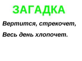 Собака дінго - презентація до уроку географії (Собака друг людини) Собака дінго - презентація до уроку географії